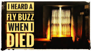 I Heard A Fly Buzz When I Die Emily Dickinson I Heard A Fly Buzz When When I Die Emily Dickinson Dickinson