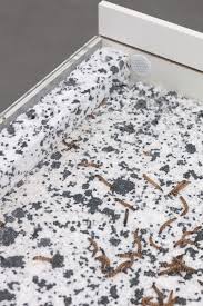 Promession is an environmentally friendly way to dispose of human remains by way of freeze drying. Aude Pariset Artists Cell Project Space
