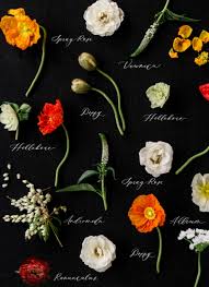 Descriptions, pictures, and scientific names of the rarest flowers will help identify these unique plants. Types Of Wedding Flowers By Colour Elegantwedding Ca