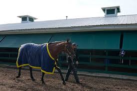 A widespread bathroom faucet has become so popular and that is the sole reason behind all the top brands producing in this category. Preakness 2021 Highlights Rombauer Pulls Off Surprise Win The New York Times