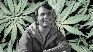 Image result for carl sagan