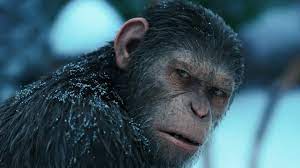 Survival möchte schwer bedeutsam sein. Die Reihenfolge Der Planet Der Affen Filme Kino De
