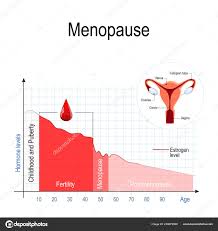 menopause chart estrogen level aging fluctuation hormones