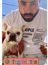 Editorials — Andrew Shang