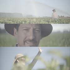 Jimmy Rivero (@jimmyrivero) • Instagram photos and videos