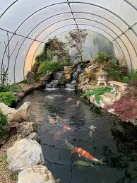 Creative Greenhouse Garden Pond Design Fish Pond Gardens Koi Pond Backyard