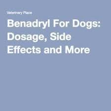 Benadryl For Dogs Dosage Side Effects And More Benadryl Dog Hives Benadryl For Dogs Dosage