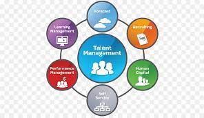 Talent Management Text Png Download 500 515 Free Transparent Talent Management Png Download Cleanpng Kisspng