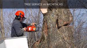 At wichita tree service, we are focused on providing tree removal, stump grinding, stump removal, tree trimming, and general tree care services. Huff S Tree Service Tree Service Wichita Ks Youtube