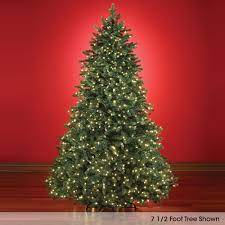 The World S Best Prelit Douglas Fir 4 5 Full Led Hammacher Schlemmer Ham Christmas Tree Pictures Pre Lit Christmas Tree Artificial Prelit Christmas Trees