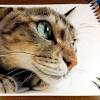 Join us as we draw a cat sitting using basic shapes and gesturing.great for beginning artist. 1
