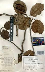 Image result for Epistemma