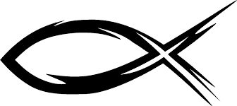 Pin On Fish