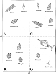 Who S On First A Relative Dating Activity Earth And Space Science Earth Science Lessons Earth Science