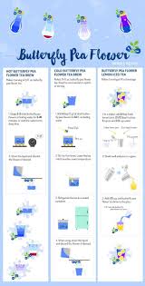 Butterfly Pea Flower Tea Recipe Ideas Butterfly Pea Tea Butterfly Pea Flower Tea Butterfly Pea Flower
