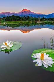 Google Beautiful Nature Nature Beautiful Landscapes