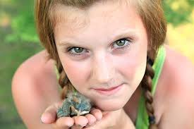 10+ Content Robin Stock Photos, Pictures & Royalty-Free Images