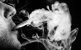 Read this article for tips on what you can do. How Marijuana Legalization Impacts Your Pest Management Business