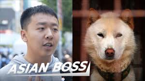 Do All Koreans Really Eat Dog Meat Street Interview Asian Boss Youtube