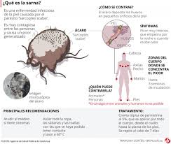 A sarna é uma doença comum que afeta pessoas de todas as idades, raças e rendas no mundo todo, não tendo relação alguma com a higiene. Sarna Humana Causas Sintomas Y Tratamiento