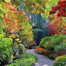 Garden Travel Destinations The Butchart Gardens Discover Beautiful Gardens To Visit Browse Worldwide Trips Butchart Gardens Garden Tours Beautiful Gardens