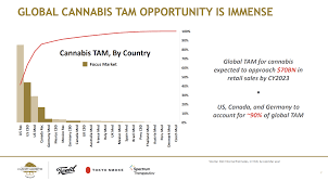 View canopy growth corporation cgc investment & stock information. Canopy Growth Avoid At This Valuation Nyse Cgc Seeking Alpha