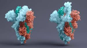 A vaccine jointly developed by german company biontech and us firm pfizer has proven to be 90 german company biontech and its us partner pfizer announced on monday that early results from. Pfizer Biontech Aim To Start German Covid 19 Vaccine Trial This Month