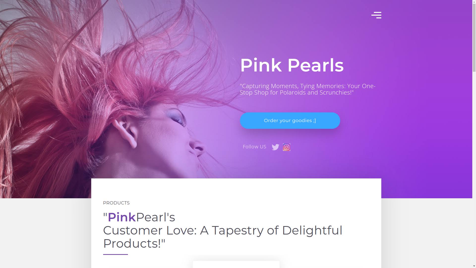 Web Development product image