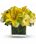 Maybe you would like to learn more about one of these? Flowers To Sacred Heart University Fairfield Connecticut Ct Same Day Delivery To Campus And Dormitories By A Local Florist In Fairfield
