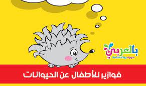 فوازير للاطفال عن الحيوانات واجابتها حزر فزر 2020 عالم الحيوانات أسئلة و أجوبة عن الحيوانات ل flower arrangements diy diy arrangements borders for paper