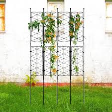 つる 植物 フェンス