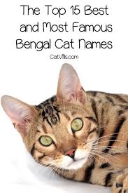 She had acquired a leopard cat and allowed her to keep company with a black tom cat so she wouldn't be. The Top 15 Best And Famous Bengal Cat Names