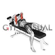 (1) lie on a bench, head even with the end, knees bent, feet flat on the bench. Dumbbell Lying Triceps Extension Female