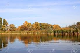 It may be bit of a cliche, but there's no doubt that graffiti or street art, can make an interesting and colorful background. Beautiful Pacifying Landscape Outside The City The Calm Water Of The Lake Reflects The Colorful Autumn Trees Bright Colors Of Autumn Seasons November Natural Photo Background Stock Photo Picture And Royalty Free