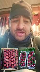 #Important information for Apple 🍎 Growers , Rate of CA Apple's 🍎 ,  Delicious + Kullu + Running Delicious rate, America