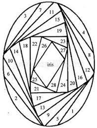 Schriftliche verwarnung mitarbeiter vorlage : 73 Irisfolding Ideen In 2021 Iris Falten Irisfalten Nahen Auf Papier