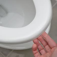 The Case Against Always Leaving The Toilet Seat Down Vox