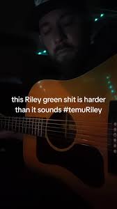 Temu Version of Riley Green