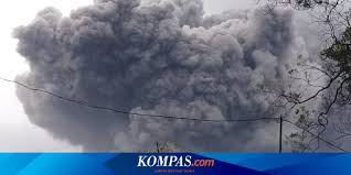 Operador logístico importaciones y exportaciones mexico a centroamérica estados unidos asia distribucion local transporte de. Https Netral News En Can A Smartwatch Be Used To Detect Covid 19 Html 2021 01 16t21 41 13z Https Cdn Akurat Co Images Uploads Images Akurat 20201213065455 Gk1oi2 Jpg Https Netral News En Wout Van Aert Won The Mens Zilvermeercross Html