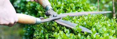 Egal, wie ihr garten aussieht, ob sie die herrlichsten beete anlegen und pflegen, ein spielparadies für ihre kinder gebaut haben oder am liebsten mit viel platz um sich herum nach herzenslust grillen: Gartengerate Und Gartenwerkzeuge Von Bauspezi Baumarkt Neckartailfingen