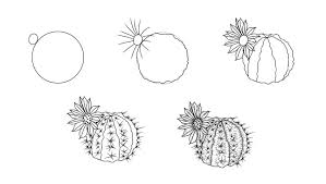 How to draw cactus step by stephow to draw cactus step by stephow to draw cactus step by stepcomo desenhar, aula de desenho, tutorial,desenhando, fazer desen. How To Draw A Realistic Cactus Flower 5 Easy Steps Jae Johns