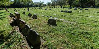 Are you looking for a pet sitting jobs near you? Milwaukee Pet Owners Honor Late Pets With Burial Service Pet Cemetery