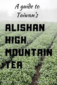 Alishan Tea The Champagne Of Taiwan Oolongs Taiwan Taiwan Travel Asia Travel
