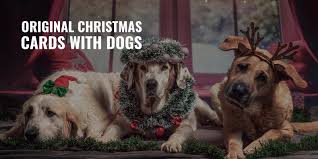 Check spelling or type a new query. 20 Original Christmas Cards With Dogs Festive Cute Funny