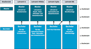 Studienaufbau