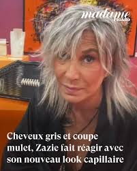 Cheveux gris et coupe mulet, Zazie fait réagir avec son nouveau look  capillaire ➡️ https://l.lefigaro.fr/2PX