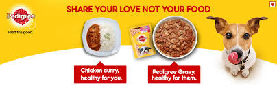 What is the best homemade dog food? Pedigree Puppy Wet Dog Food Chicken Chunks In Gravy 15 Pouches 15 X 80g Amazon In Pet Supplies