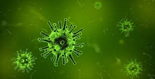Manfaat, tujuan & macam macam olahraga. Cara Kerja Fungsi Sistem Imun Serta Responsnya Terhadap Virus