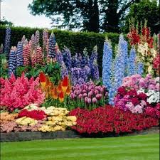 Perennial Garden Ideas Botanischer Garten Blumengarten Garten Ideen