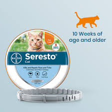 Maybe you would like to learn more about one of these? Amazon Com Seresto Flea And Tick Collar For Cats 8 Month Flea And Tick Collar For Cats Pet Flea And Tick Collars Pet Supplies